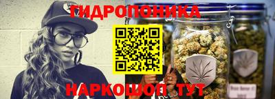 дмт Гатчина