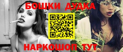 дмт Гатчина